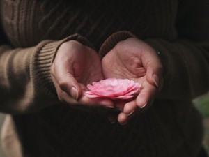 年収300万と短大卒の学歴を変える。頑張り続けた私が手放したもの