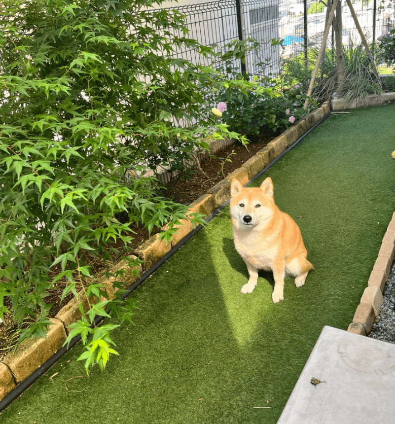 三角でもしっかり陣取り