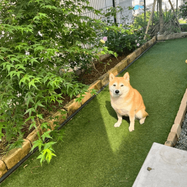 三角でもしっかり陣取り