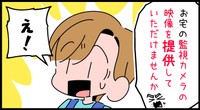 防犯カメラの映像を？