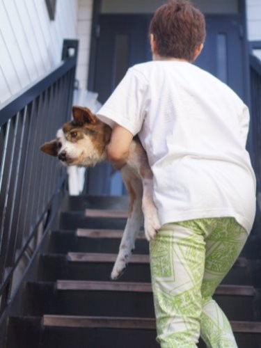 「ジロー帰ろう、皆が待ってるよ」