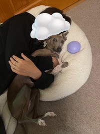 パパにつかまってうれしそうなプットくん（画像提供：プットさん）