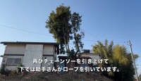 下見の段階で1人では難しいと判断し、助手さんと連携／CAT HOUSE DIYさん（@cathousediy）提供