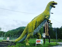 高さ10メートル近いマイケル君に悲劇が（提供画像）