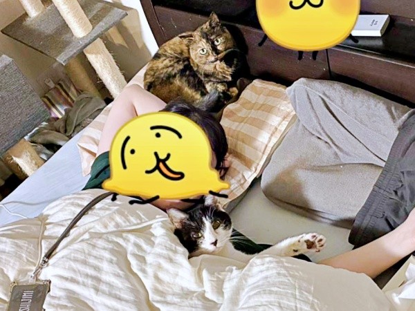 ベッドに大集合！ 枕元にしじみちゃん、オットーくんは腕枕でまったり（画像提供：さよさん）