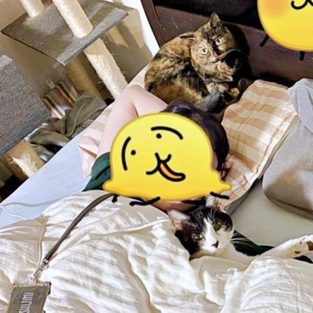 ベッドに大集合！ 枕元にしじみちゃん、オットーくんは腕枕でまったり（画像提供：さよさん）