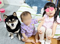 きょうだい勢ぞろい！ （左から）おはぎくん、すずちゃん、つむちゃん（画像提供：おはぎさん）