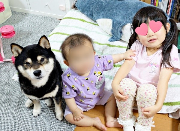 きょうだい勢ぞろい！ （左から）おはぎくん、すずちゃん、つむちゃん（画像提供：おはぎさん）