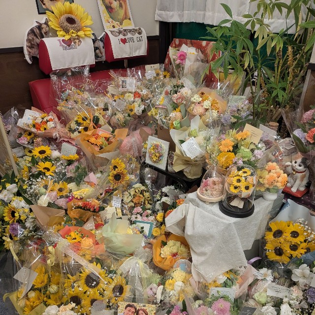 「ミケちゃん感謝の集い」。悪天候の中、約200人が足を運び、看板猫として親しまれたミケちゃんに感謝を伝えた（冨森さん提供）