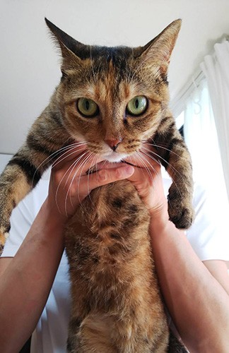 家族にすぐなじみました（由美さん提供）