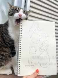 愛猫とスケッチ02／はいらずんばさん（@HairazunbaY）提供