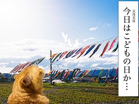 愛猫ぐっぴーはもうおじさん　こどもの日ではなく「良いおじさんの日」を