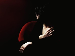 「わたしのような人間が」黒い感情が身体を乗っ取るかのように君を拒絶した