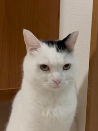 ジト目も可愛い、たけるくん（画像提供：まつもとたけるさん）