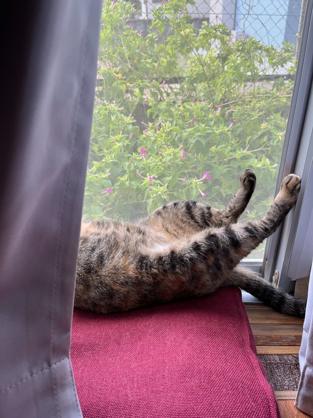 警戒心を解くまでには半年ほどかかったが、今はこれ（おたむさん提供）