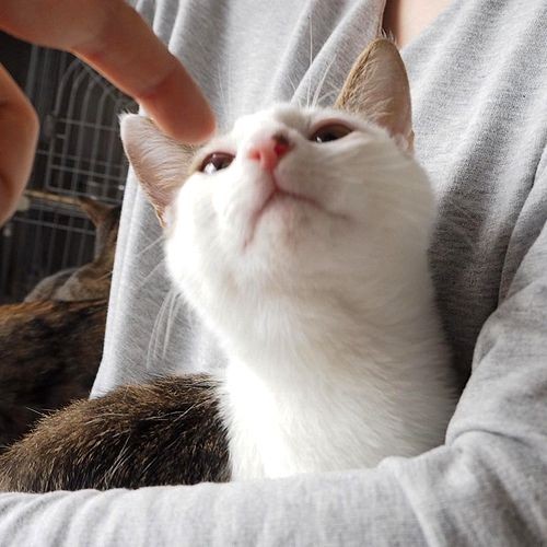 最初から人懐っこかった