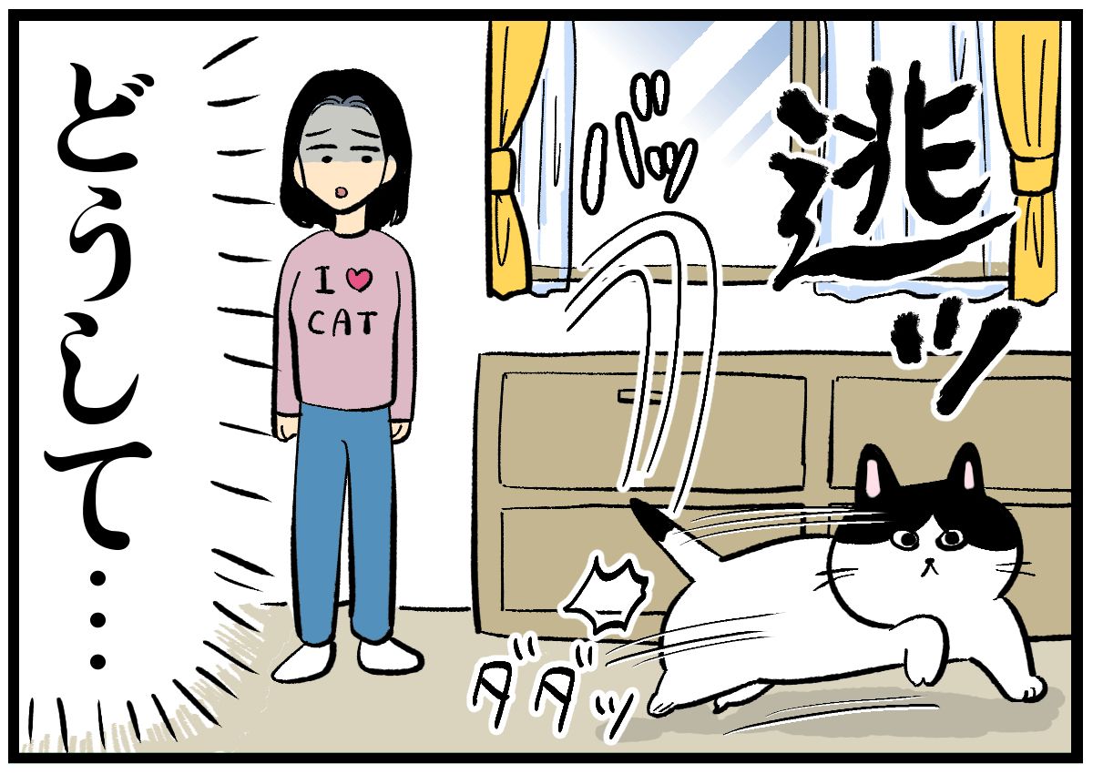 漫画】良かれと思ってやったのに…猫の謎行動に振り回されるニンゲン