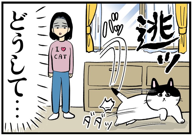 本当に、どうして…？