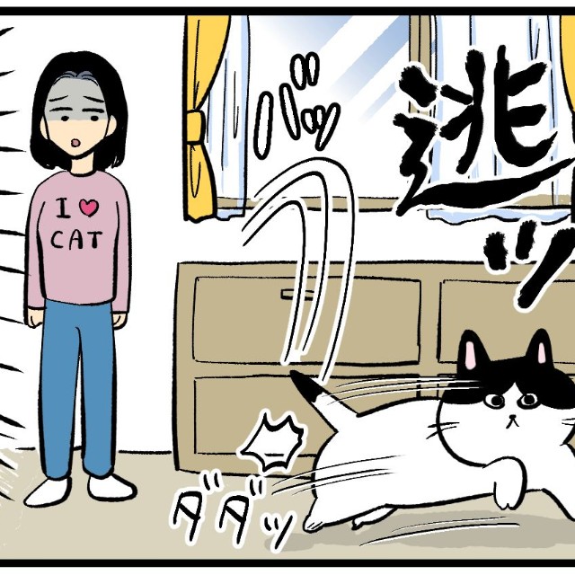 本当に、どうして…？