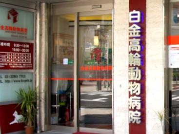 犬のトリミングの必要性　体調管理にも大切