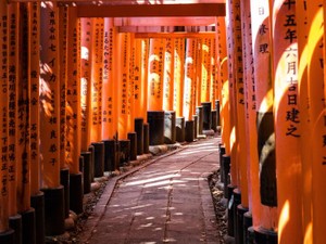 日常から抜け出そうと訪れた京都。気持ちを軽くしたのは人の姿だった