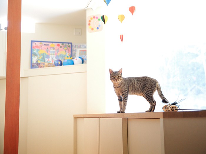 おれと遊べ！撮れ！とアピールがすごい