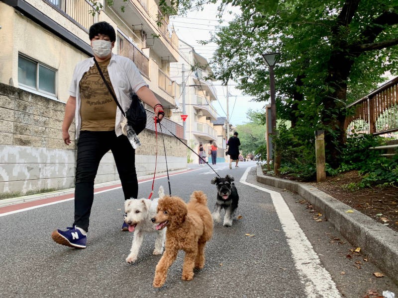 みんな、すごく楽しそうにお散歩している顔にご注目