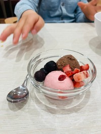 アイスクリームとフルーツの美しい色合いの組み合わせ（画像提供：ゆざめさん）