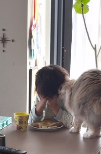 何度もスリスリ（飼い主さん提供、Instagramよりキャプチャ撮影）