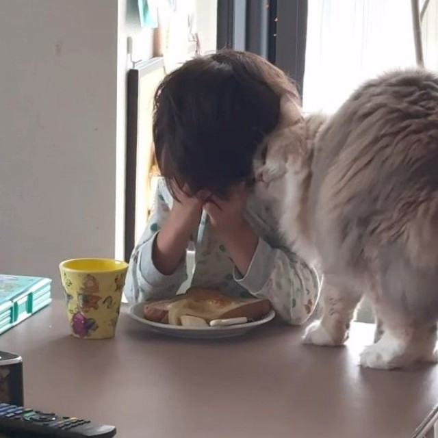 何度もスリスリ（飼い主さん提供、Instagramよりキャプチャ撮影）