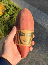 まさかのコラボ？（スミマサノリさん提供）