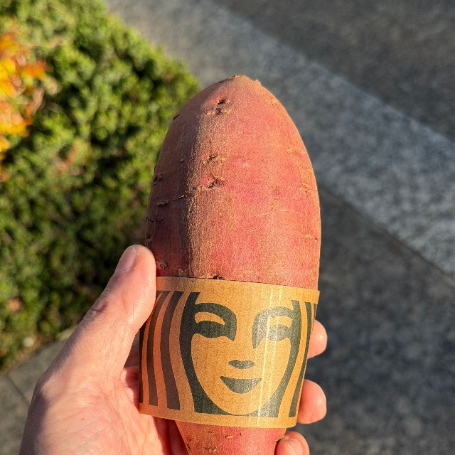 まさかのコラボ？（スミマサノリさん提供）