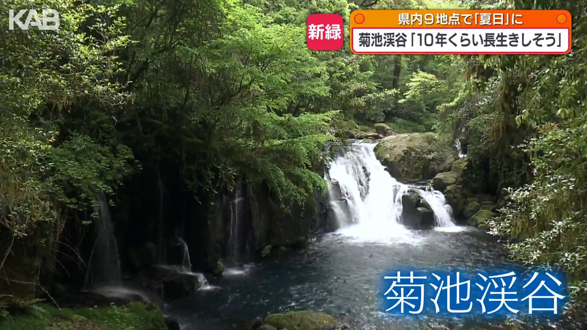高線量!!花貫渓谷ペグマタイト（37） 高線量!!花貫渓谷ペグマタイト（37） ペグマタイト(pegmatite) - 岩石