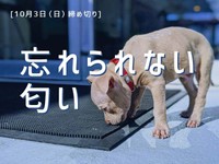 【賞金5万円】「忘れられない匂い」でエッセイ募集！10月3日締め切り