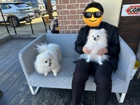 お友達がパパのお膝を独占中…！？（画像提供：コロ太くん）