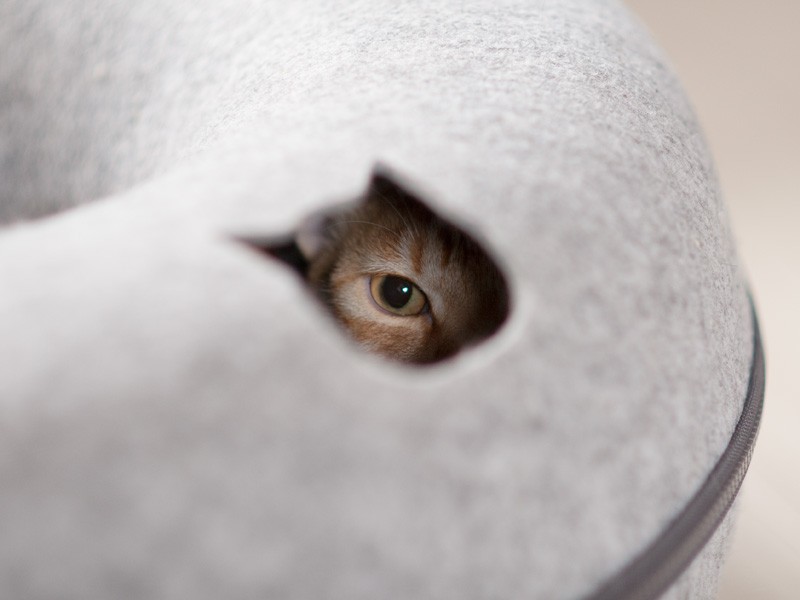 「僕の話は次回だから、深く潜ってるんだ」（小林写函撮影）