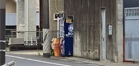 アップして見ると…（ゼファーさん提供）