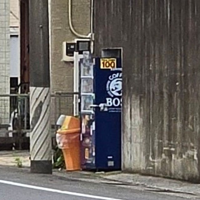 アップして見ると…（ゼファーさん提供）