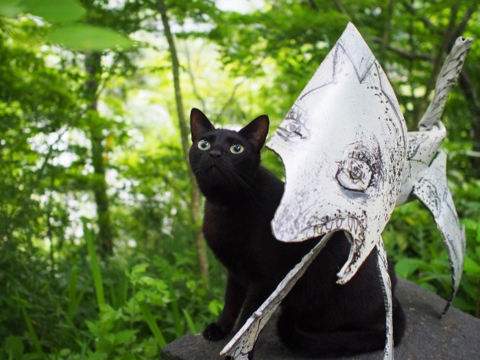 路頭に迷っていた元ノラ智尾（ちび）。