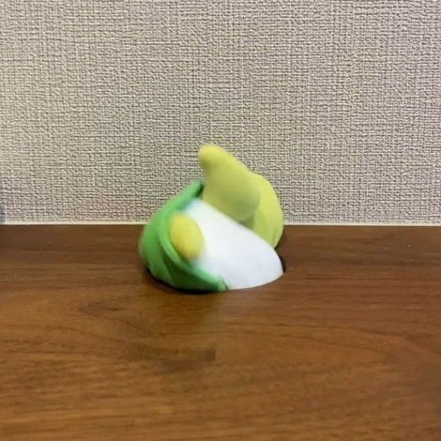 また穴の中に！（「保護猫あぶら&ぽんず」さん提供、Instagramよりキャプチャ撮影）