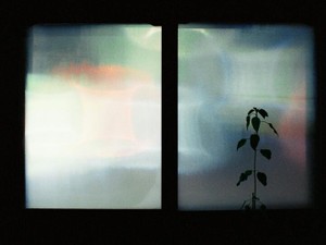 心の病気は目に見えない。誰かに気づいて欲しくて今度は拒食症になった