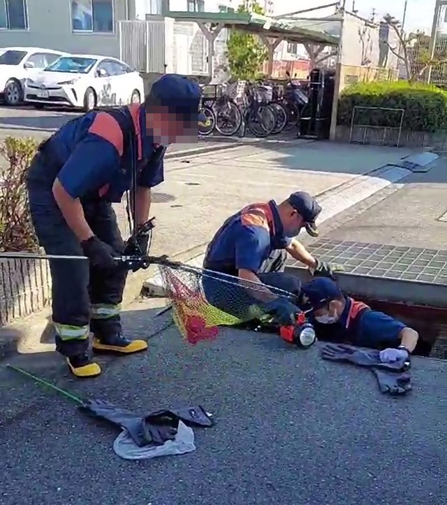 小さな命を救うため消防隊が排水溝に入る。