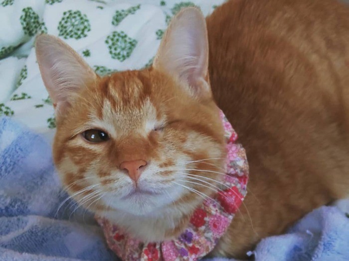 お母さんとお留守番