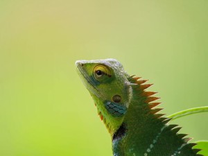 家族に見せる「甘えん坊な私」も他の人に見せる「しっかり者な私」も全部私だよ