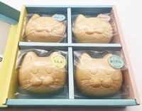 異なる味わい4種類がコンプリートされた「にゃんもにゃにゃ」