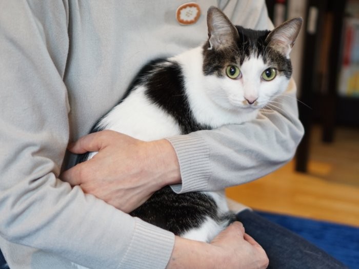 「私もいつも、家族を見守っているわ…」