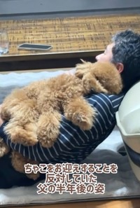 愛犬を抱っこしながらなでなでするお父さんが話題に（飼い主さん提供、Instagramよりキャプチャ撮影）