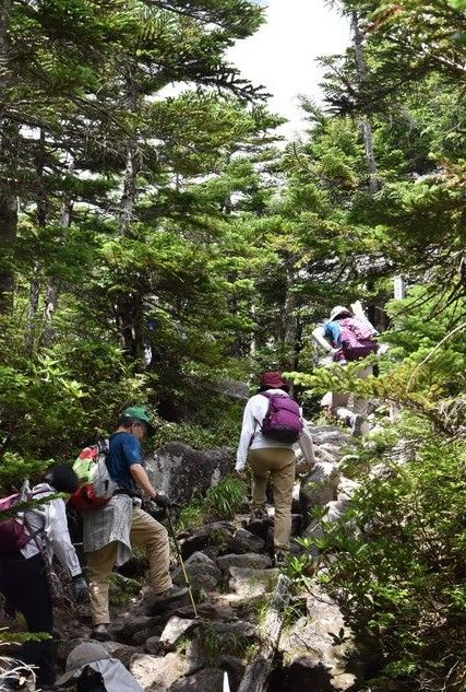 3年ぶり「山歩き会」 標高2480メートルの北横岳を満喫│朝日新聞Re