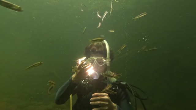 多くの生き物が観察でき、かなり満足度の高い調査だったとのこと