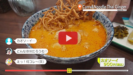 #382Curry&Noodle Thai Ginger